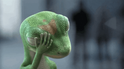 Geico lizard gif